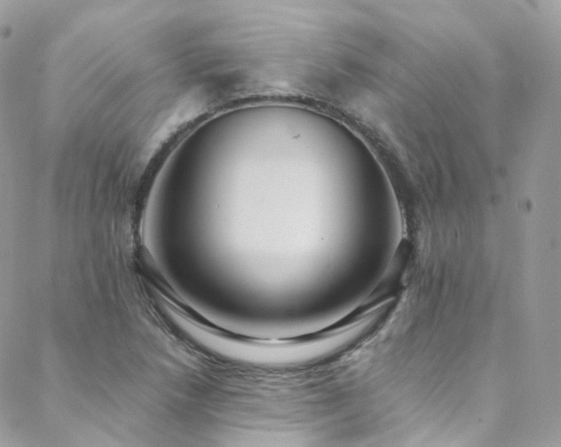 X0000088451218200705221329