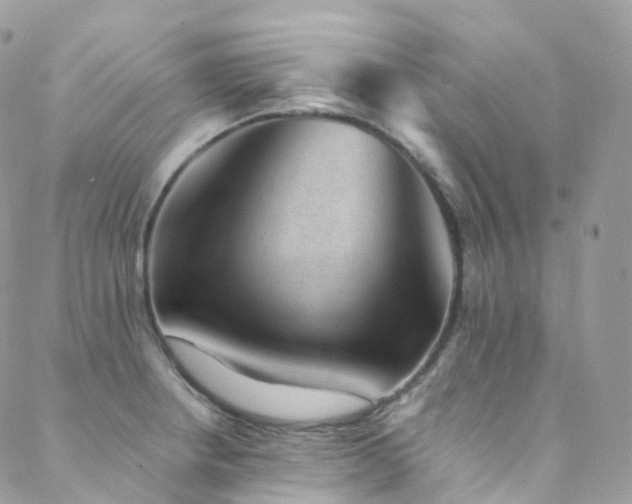 X0000088451234200705221329