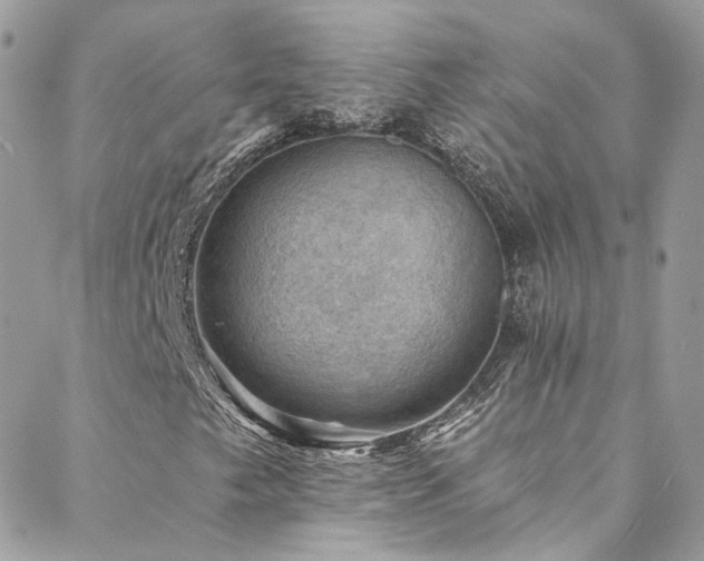 X0000088451249200705221329