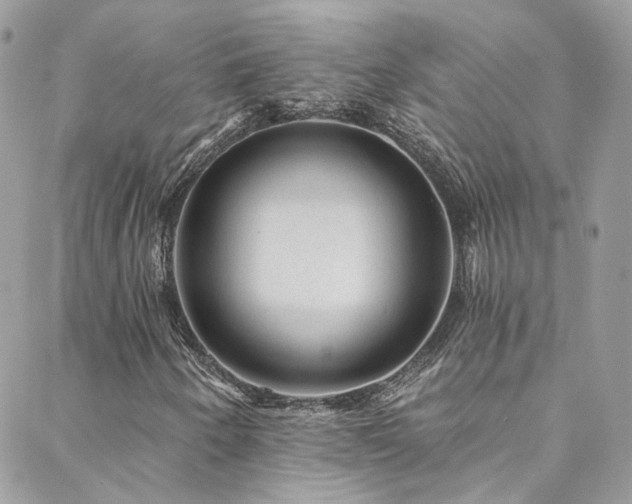 X0000088451250200705221329
