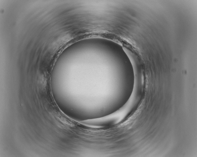 X0000088451257200705221329
