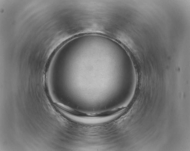 X0000088451268200705221328