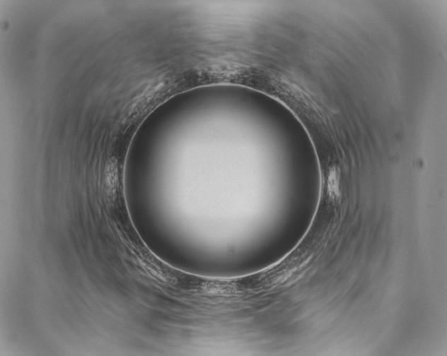 X0000088451299200705221327