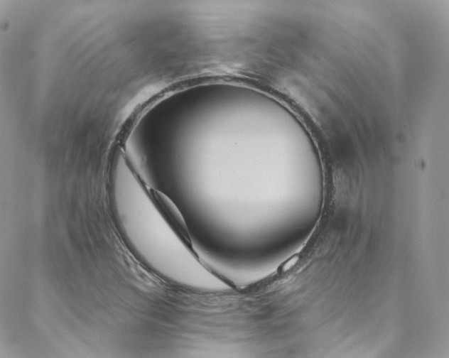 X0000088451308200705221327