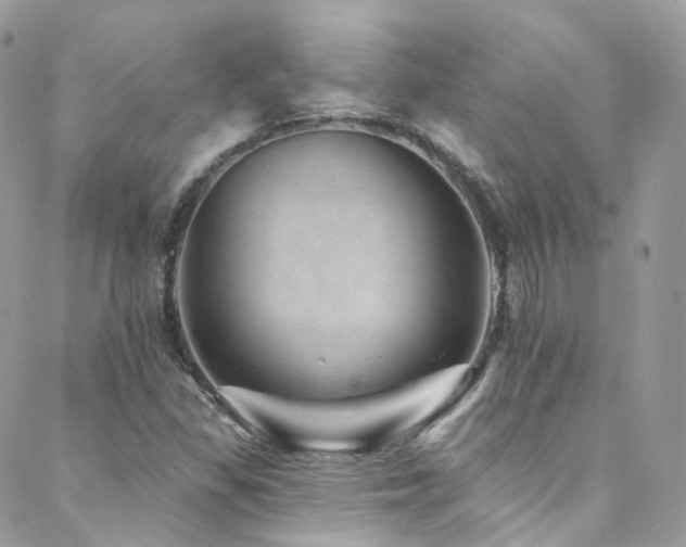 X0000088451309200705221327
