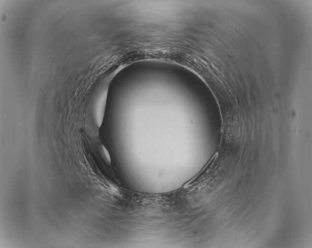 X0000088451345200705221327