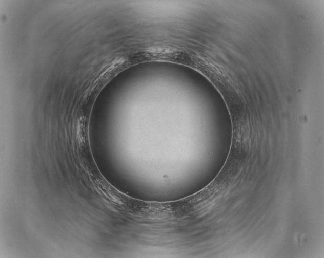 X0000088451346200705221327