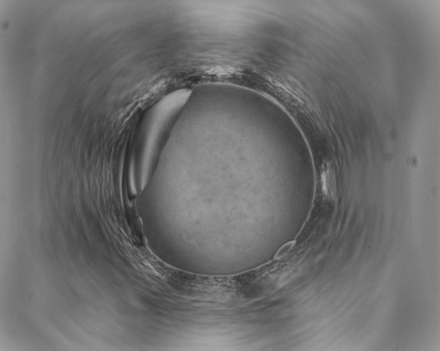 X0000088451347200705221327