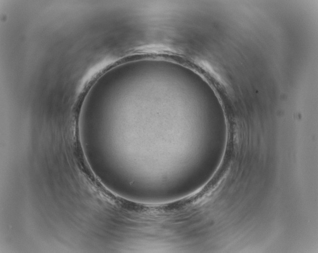 X0000088451358200705221327