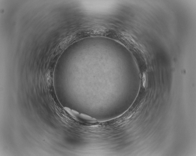 X0000088451395200705221326