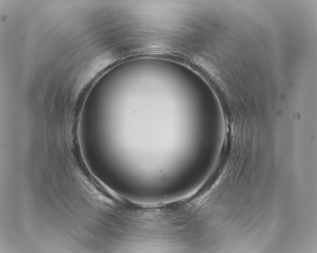 X0000088451410200705221326