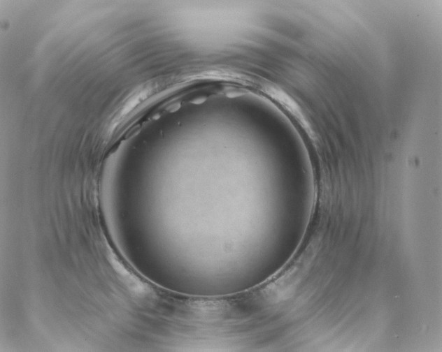 X0000088451433200705221326