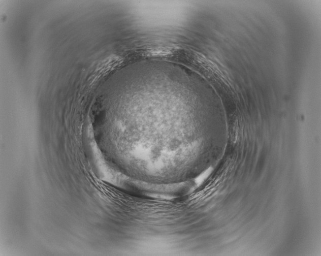 X0000088451441200705221326