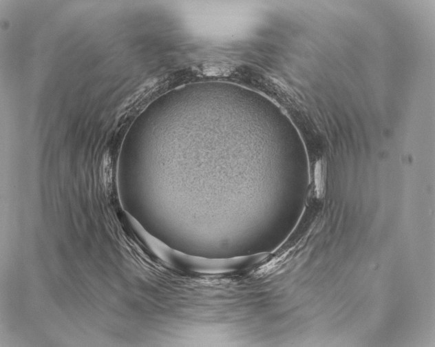X0000088451443200705221326