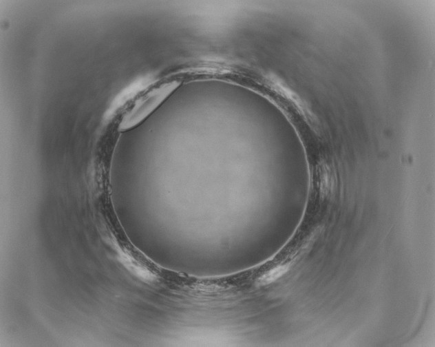 X0000088451448200705221325