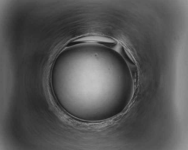 X0000088450001200705291521
