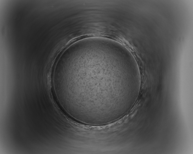 X0000088450002200705291521