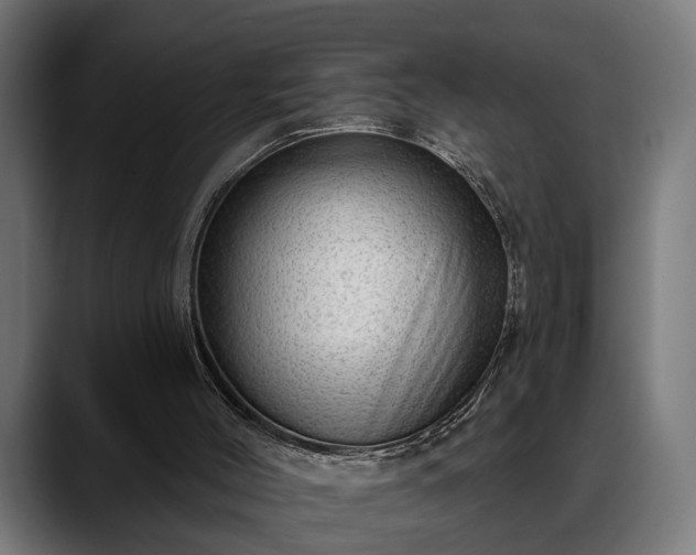 X0000088450004200705291521