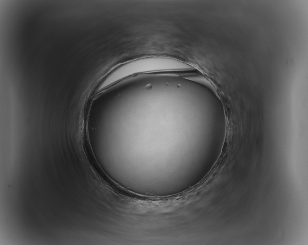 X0000088450005200705291521