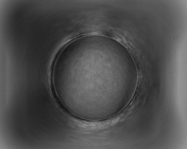 X0000088450006200705291521
