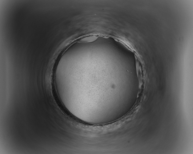 X0000088450007200705291521