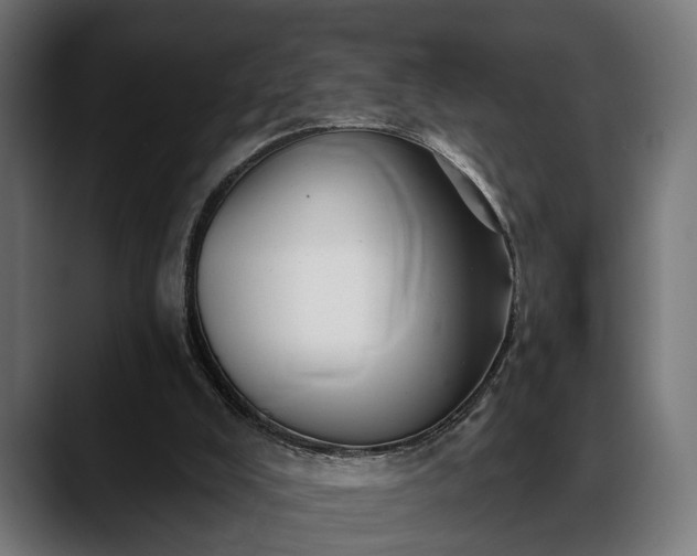 X0000088450008200705291521