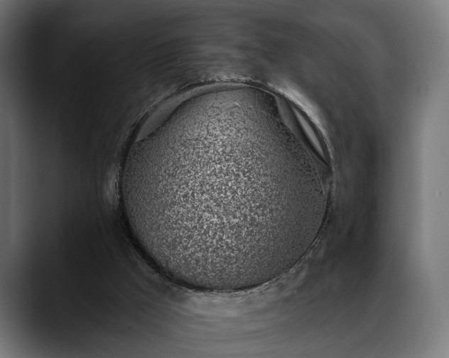 X0000088450009200705291521