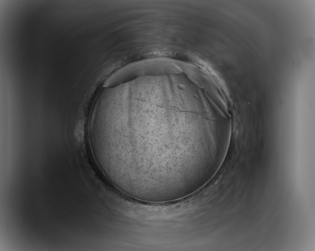 X0000088450010200705291521
