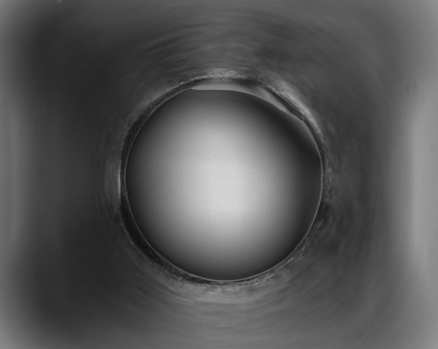 X0000088450011200705291521