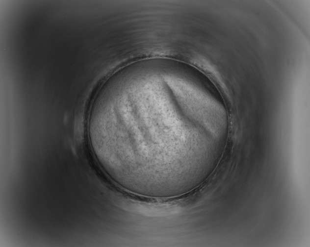 X0000088450012200705291521