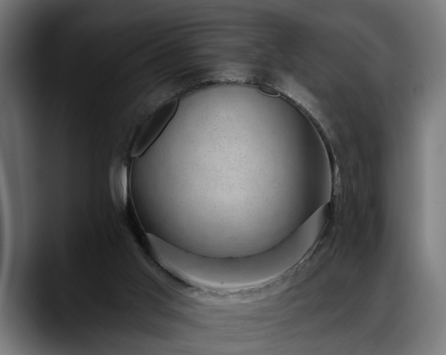 X0000088450013200705291521