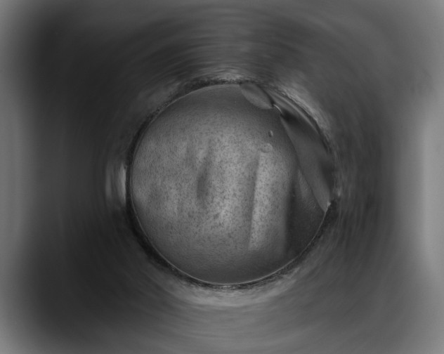 X0000088450014200705291521