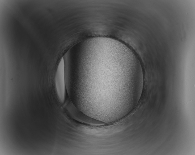 X0000088450017200705291521