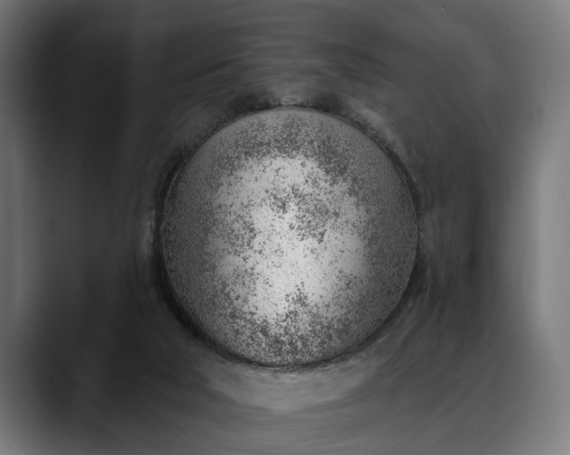 X0000088450018200705291521
