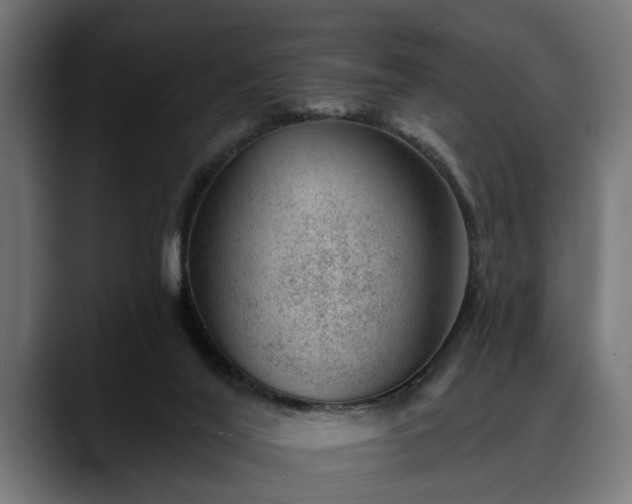 X0000088450020200705291521