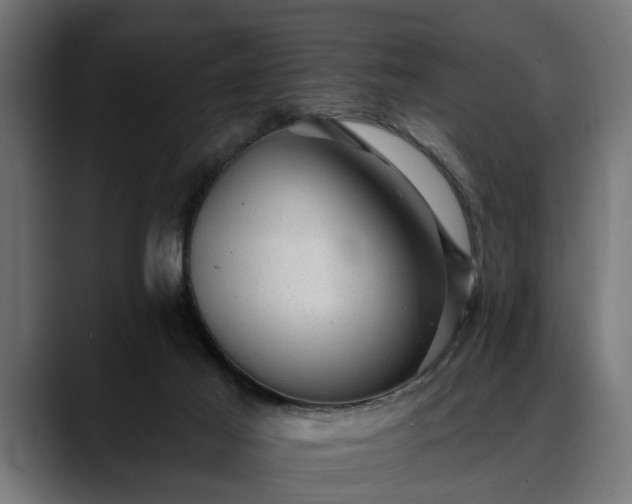 X0000088450021200705291520