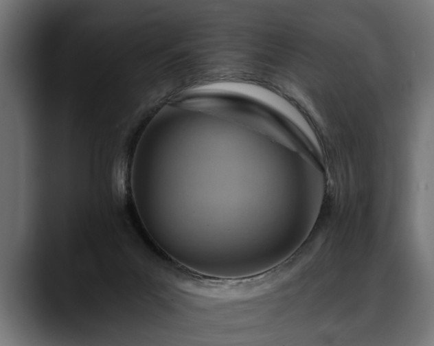 X0000088450023200705291520