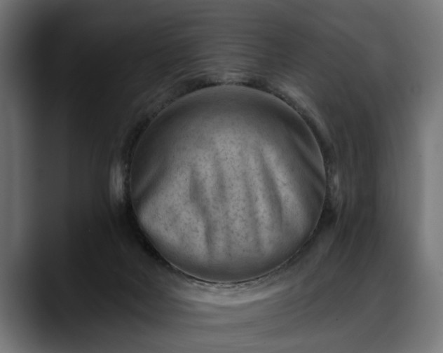X0000088450026200705291520