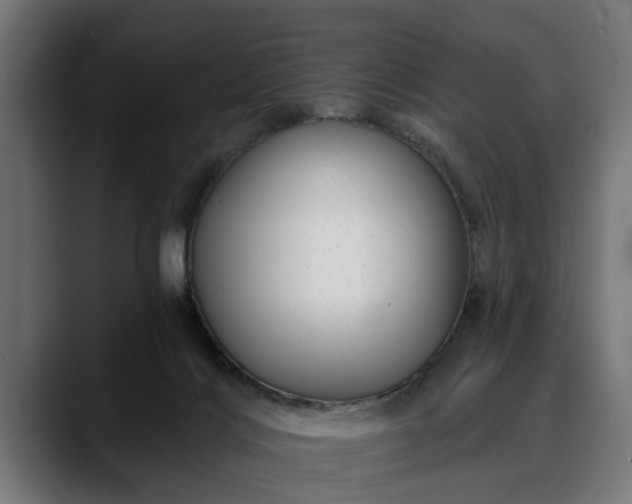 X0000088450028200705291520