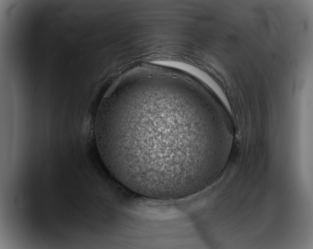 X0000088450029200705291520