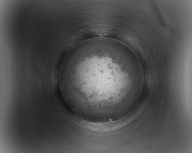 X0000088450030200705291520