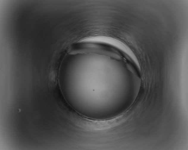 X0000088450031200705291520