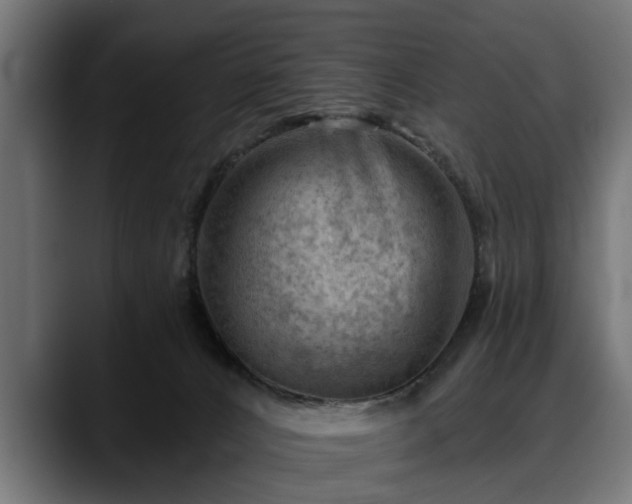 X0000088450032200705291520