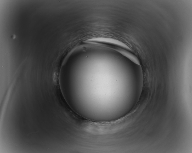 X0000088450033200705291520
