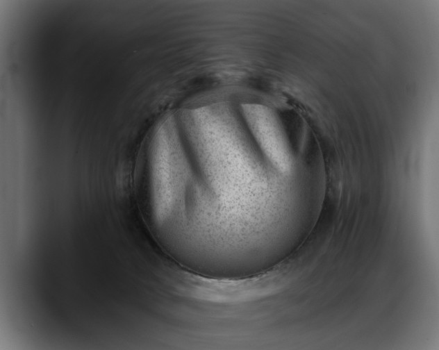 X0000088450034200705291520