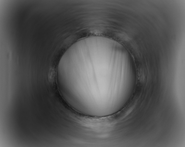 X0000088450036200705291520