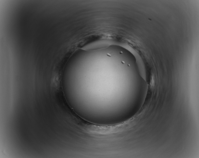 X0000088450037200705291520