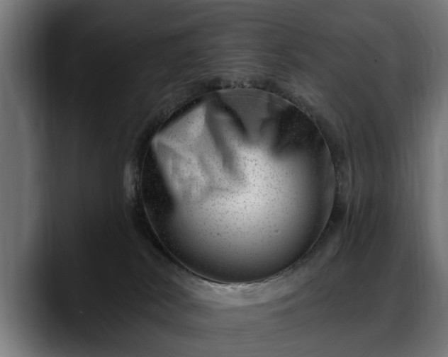 X0000088450038200705291520
