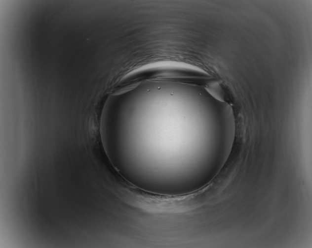 X0000088450040200705291520