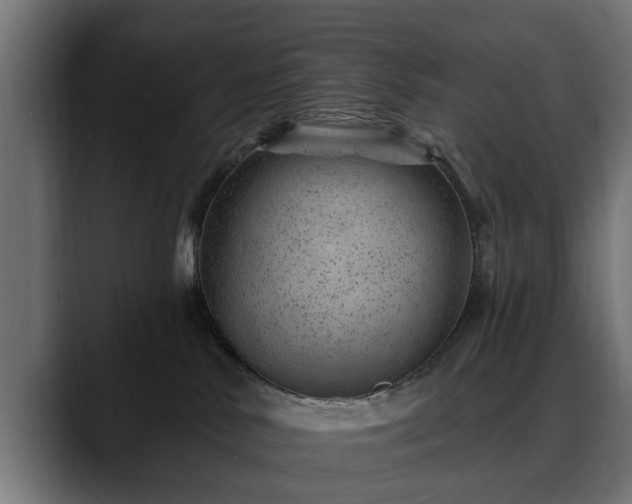 X0000088450042200705291520
